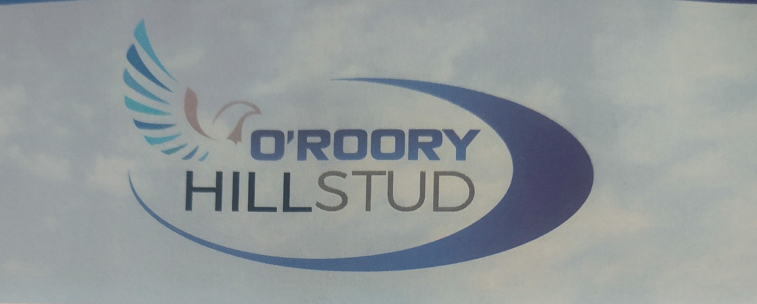Our Logo